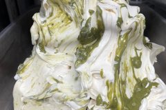 lody_004_2022
