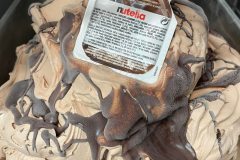 lody_012_2022
