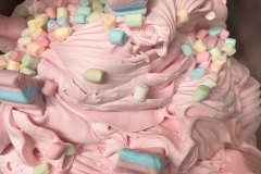 lody_014_2022