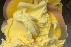 lody_021_2022