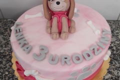 Torty dziecięce, Torty dla dzieci