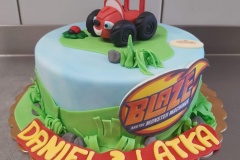 Torty dziecięce, Torty dla dzieci