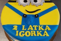 Torty dziecięce, Torty dla dzieci