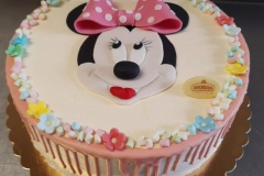 Torty dziecięce, Torty dla dzieci