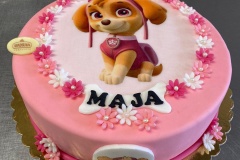 Torty dziecięce, Torty dla dzieci