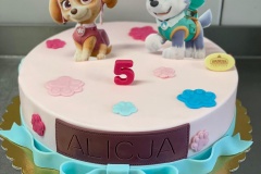 Torty dziecięce, Torty dla dzieci