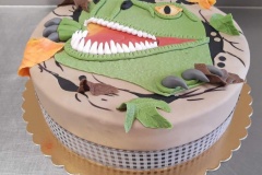 Torty dziecięce, Torty dla dzieci