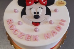 Torty dziecięce, Torty dla dzieci